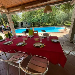 Hébergement de vacances Loft Mansardato Con Giardino E Piscina In Privata Loft With Garden And Swimming Pool In A Private